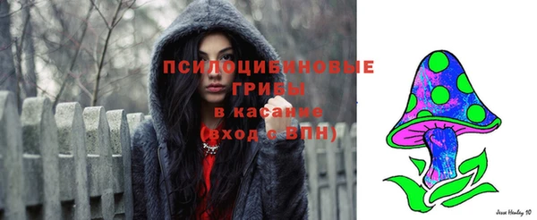 бутират Магас