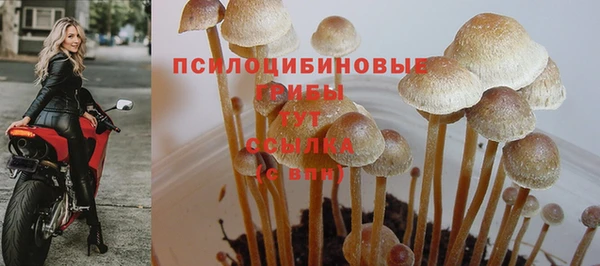 бутират Магас