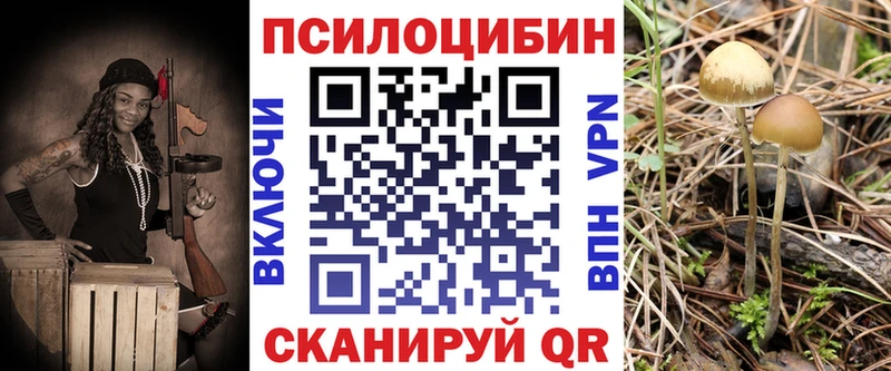 Псилоцибиновые грибы ЛСД  OMG ONION  Мегион 