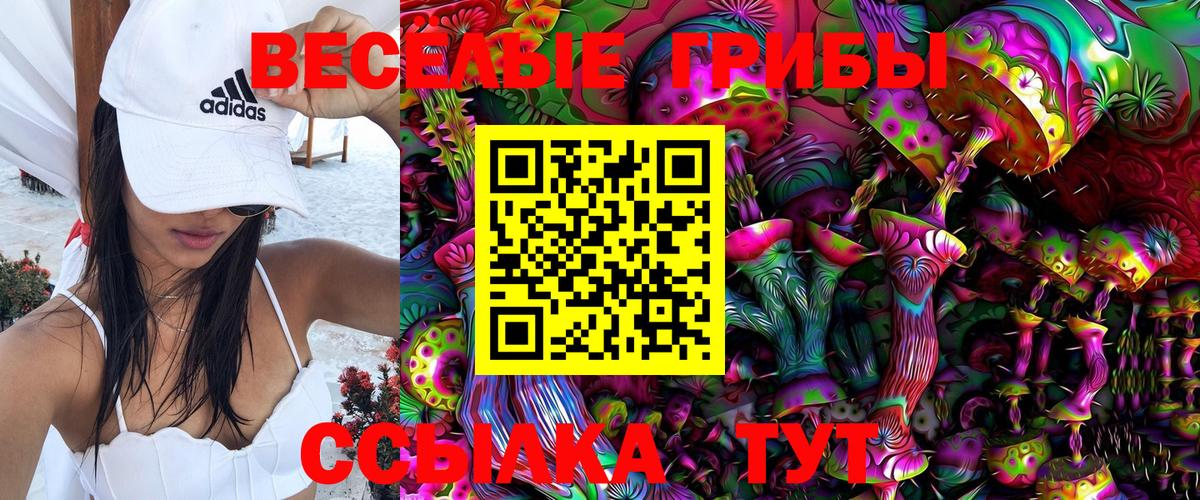 Галлюциногенные грибы прущие грибы Мегион